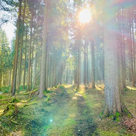 Weiberwirtschaft In Pobershau