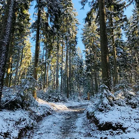 Weiberwirtschaft In بيت ضيافة